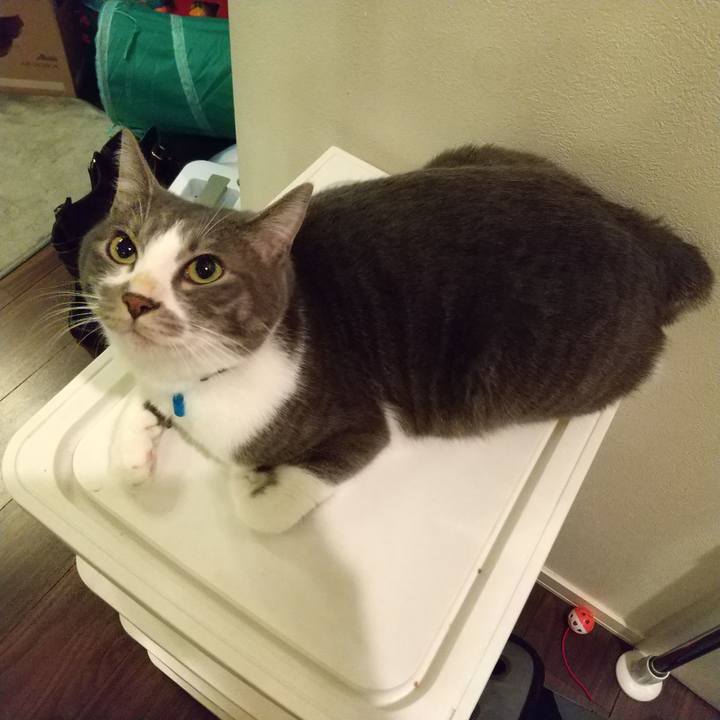 1210d1e9 1112 4dc4 a587 bde63cbcddbf 1610276024752