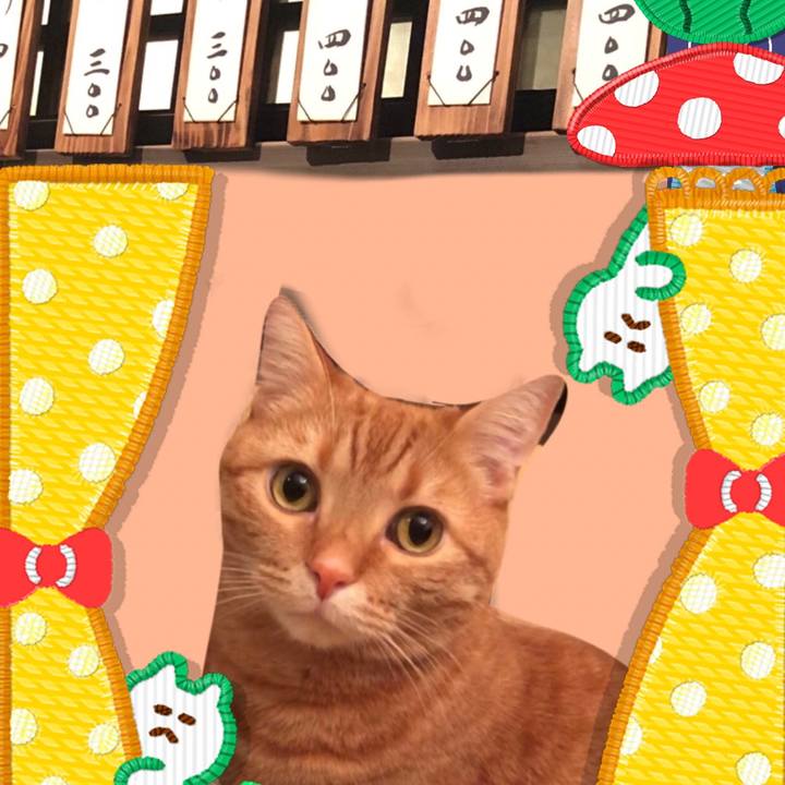 1210f7f8 4356 424d bafb 2743a4e4efe9 1558277952133