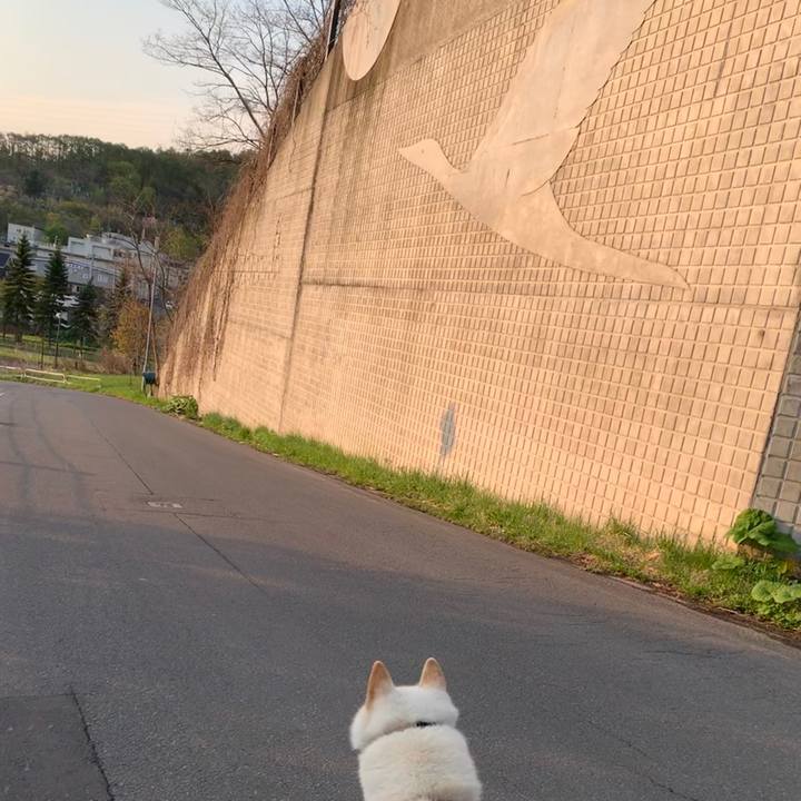 1211219b 3e06 441f b8a7 4ffb07981c98 1557358845102