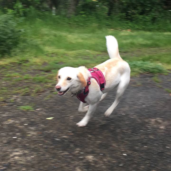 12112c57 57b9 434f 8160 742e02376250 1556632020186