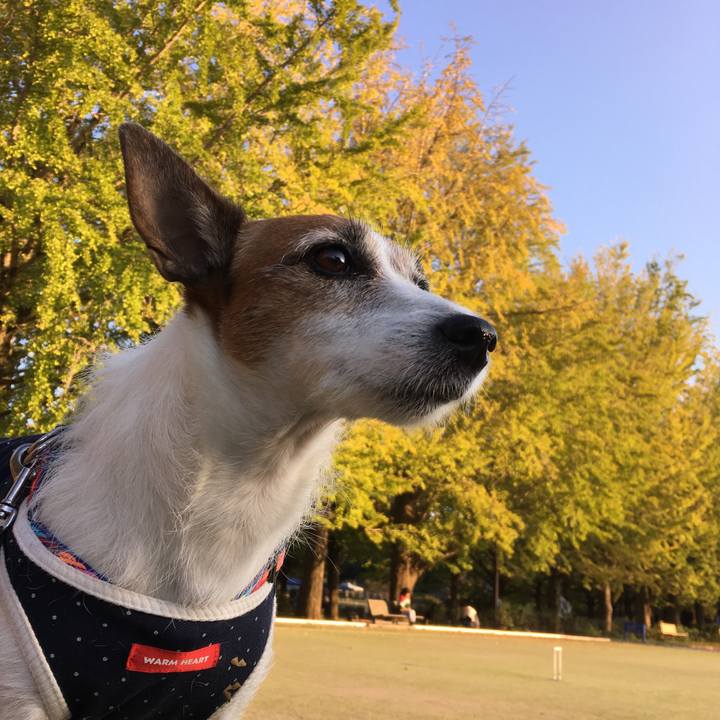 12114149 501c 4108 8be7 15632291725e 1573359085316