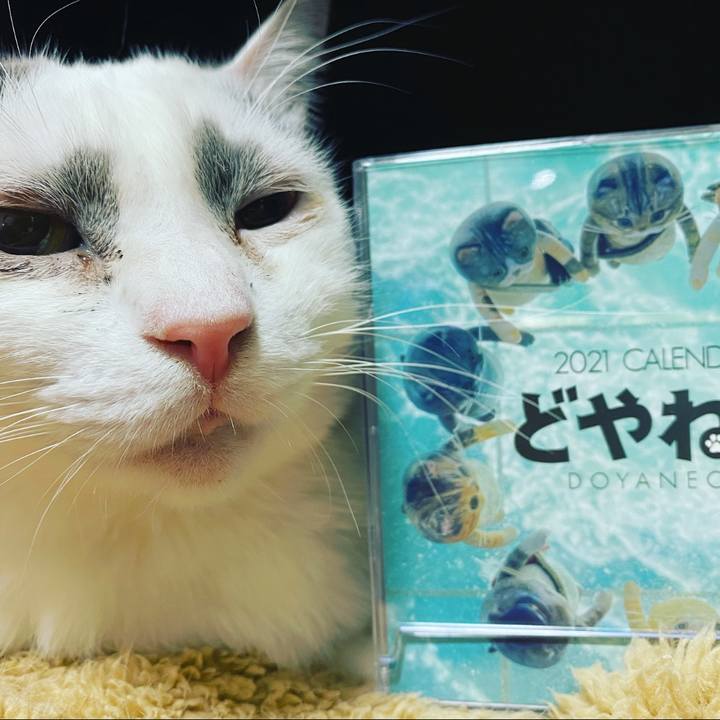 12119273 ac7b 41a3 9503 4c2d2cdae5fe 1609486967263