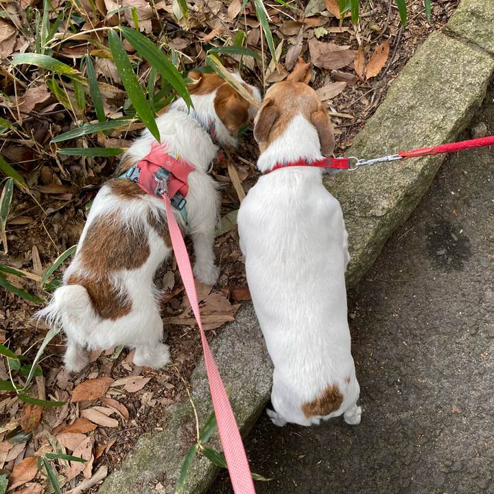 1211a85e 111d 496c b896 6240017718cf 1708244369676