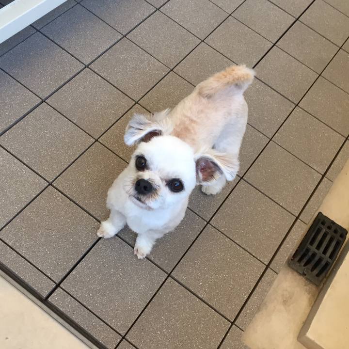 1211fe4b 674c 4784 a819 147911d45243 1564132333463