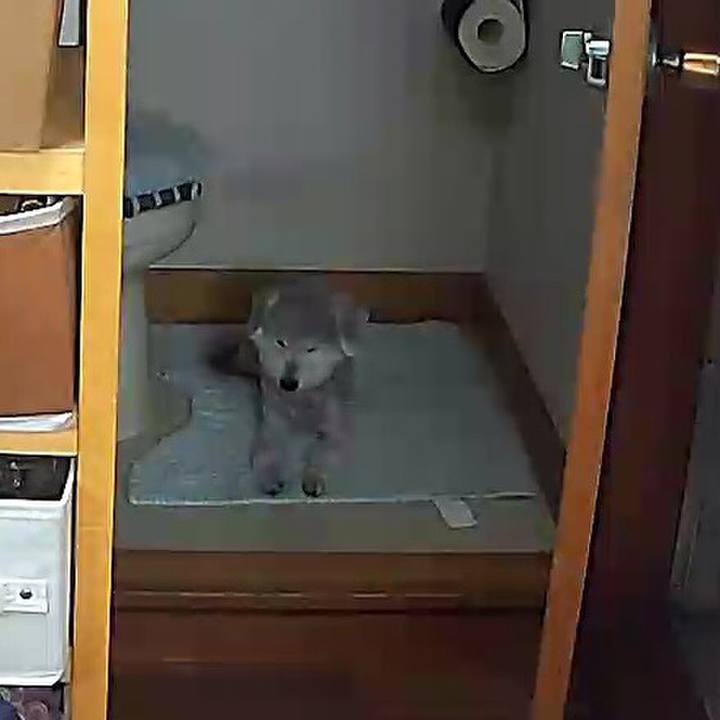 1211fec1 d39a 4513 941e b098a63cb5a5 1622077135864