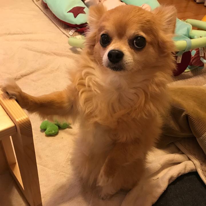 12121485 9bb1 44b7 8f44 aec378ef0d26 1516149962495