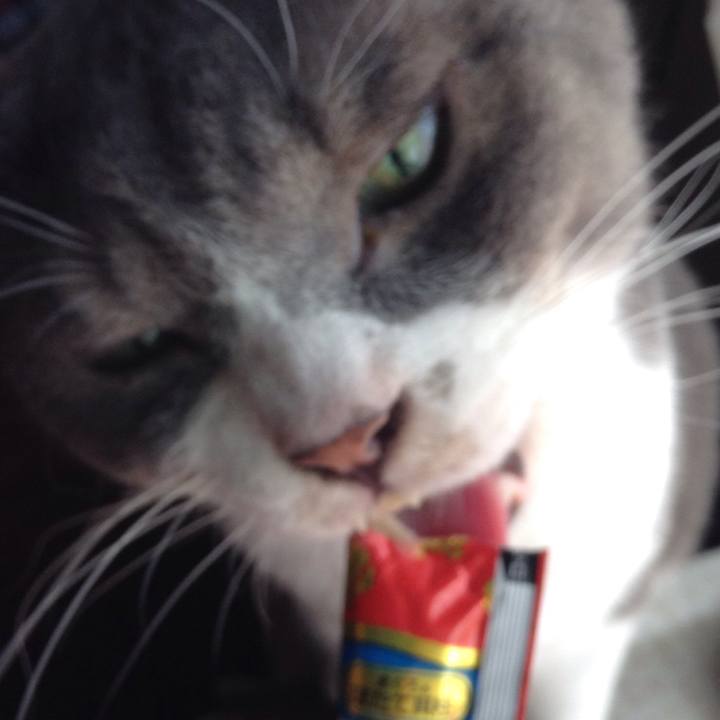 12121553 abe9 49ca a8ba ac0382c07b99 1537158552010