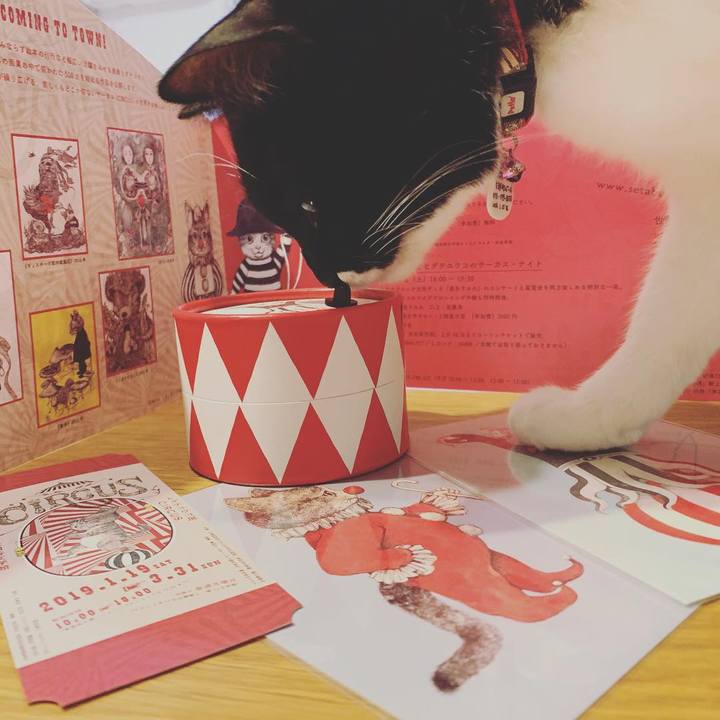 121228b1 980a 44d7 8395 cae069d8030e 1552481986542