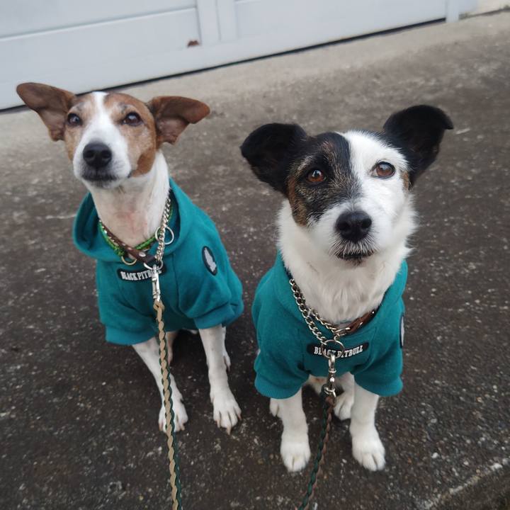 1212337f 92cb 4ba0 a0d9 761c66aabae9 1766183868342