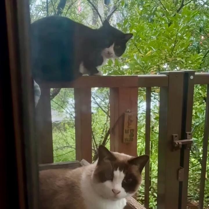 121298cf 575a 49a2 92b3 4f6bb5b5ef10 1774865060305