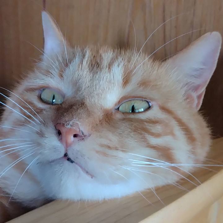 1212a3b5 ceef 4ee4 addb b2d9f91373bb 1752398969386