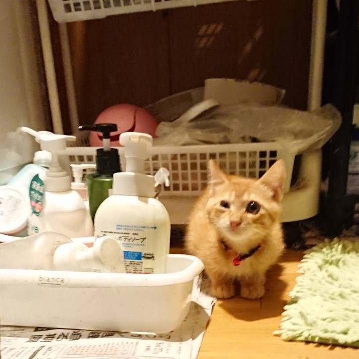 1212cfda 5978 4ffd 980b b3d2c9af7999 1631356087046