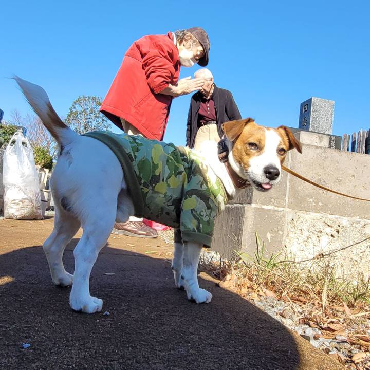 1213123a abed 4bfd 827f cc6873e49d3f 1702507400995