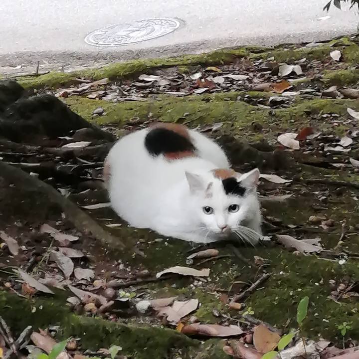 12132fa2 5c08 4e0d a375 b3d5c4499d9d 1637187253489