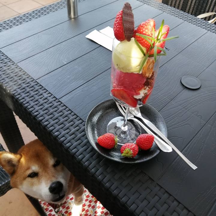 12139dc2 d431 46ee 9dce 427ba715e490 1676189573077