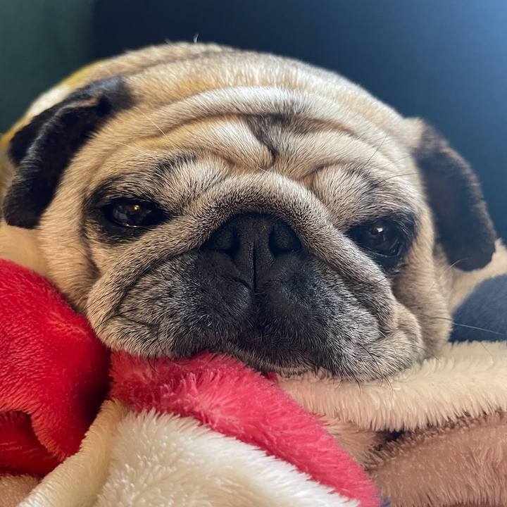 1213ac6f ef86 4e71 8483 e667e291369d 1769822878593