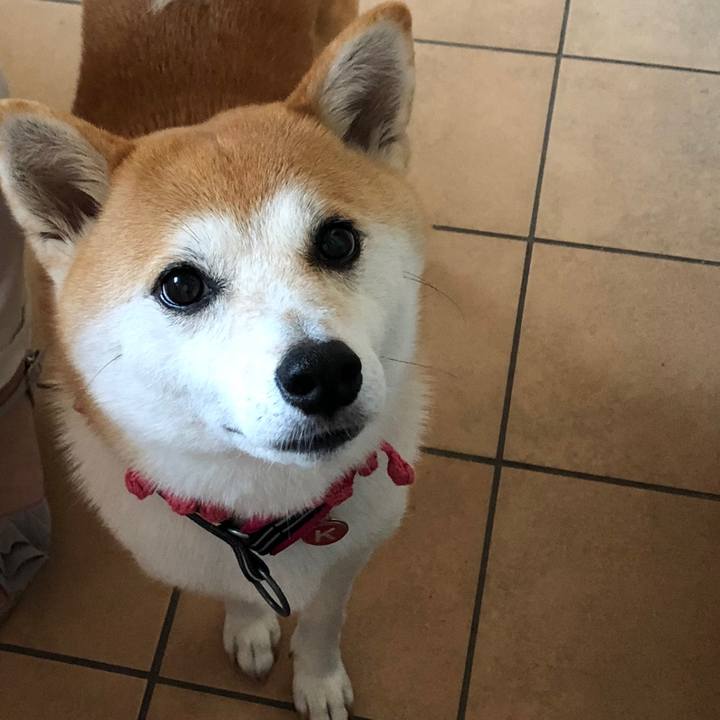 1213b255 baa3 49ee b5f3 b863d2b2eb8d 1536457614665