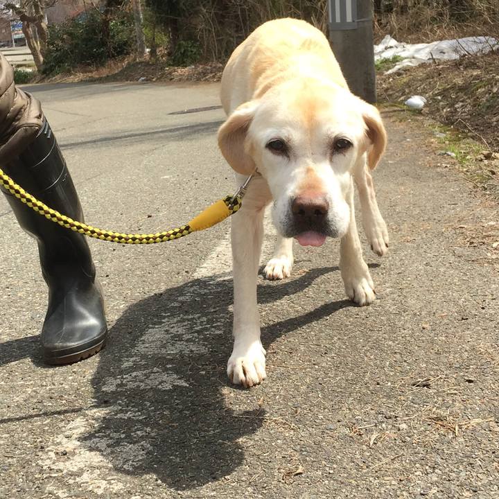 1213efcf 6c88 460d bd21 76fc70384502 1586234745449