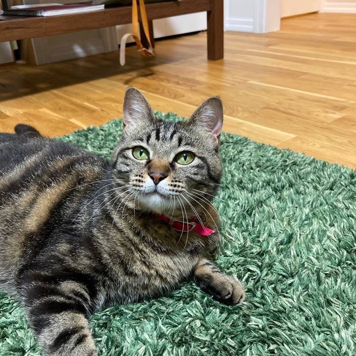 12140039 7882 4ef6 b818 937725d8754a 1592396876646