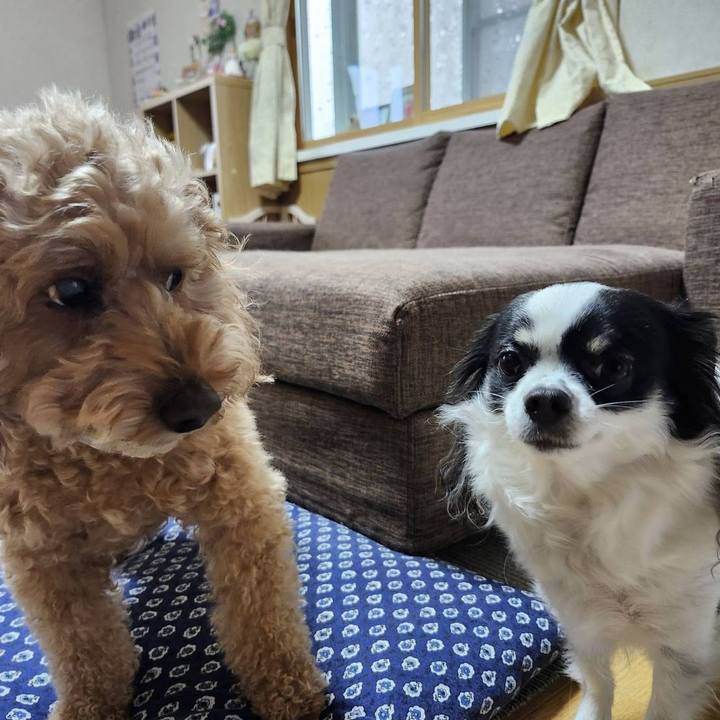 121411b1 67dd 4746 8e29 61d4162b1501 1767914454016