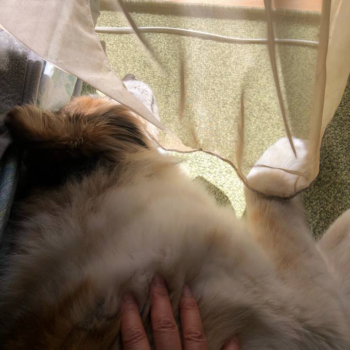 12141d7c d632 45a2 b5e7 eac1a890ccc5 1554085818935