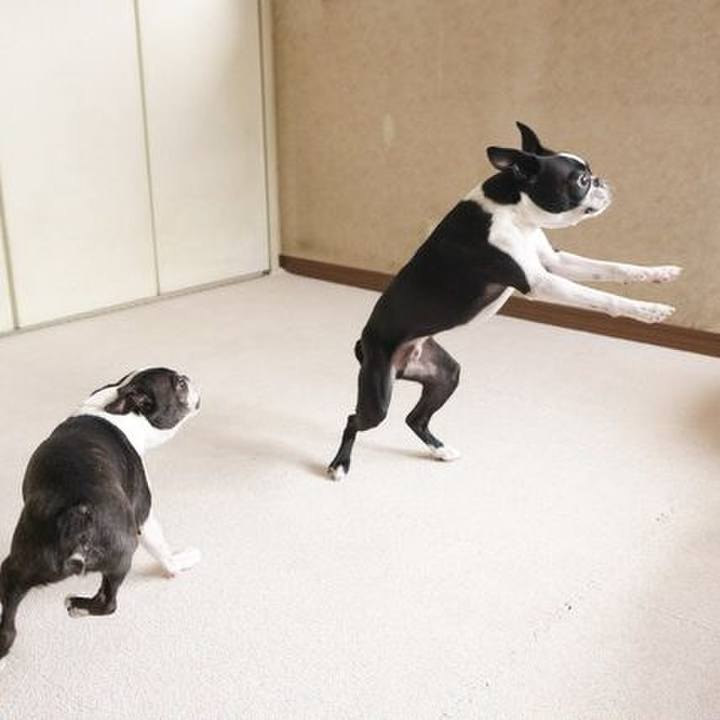 121438c3 90f8 4fc5 ab66 db8d313467ba 1530071018817