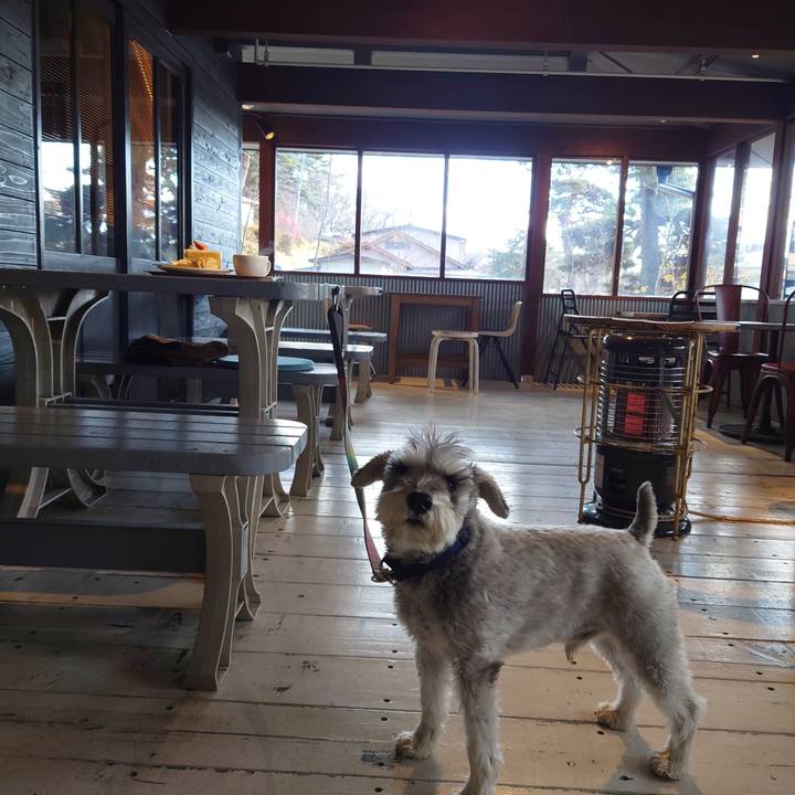 1214449c 9212 418e 8bef 1c57eae56f67 1765352127257