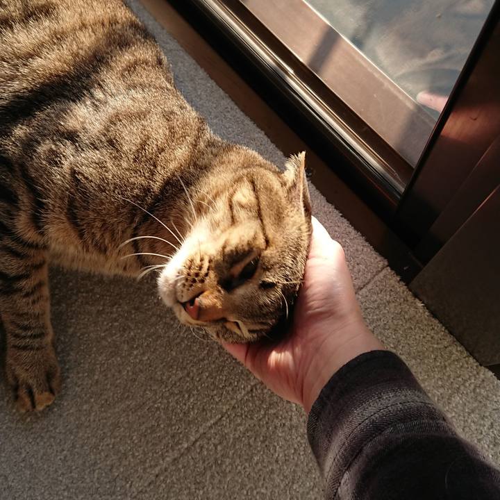 12146551 cda6 4769 8469 83087948aa0b 1518938135923