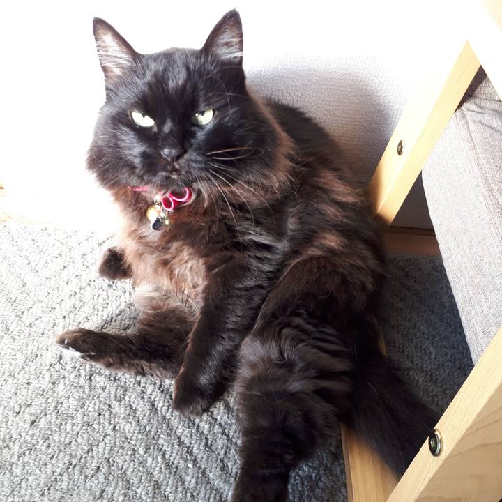 1214872b 112e 41f2 95f2 2d5acd43e83a 1542669767560