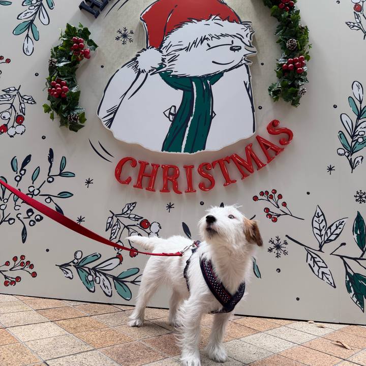 1214c67b e318 43a0 8588 077f17b74f9c 1766580821117