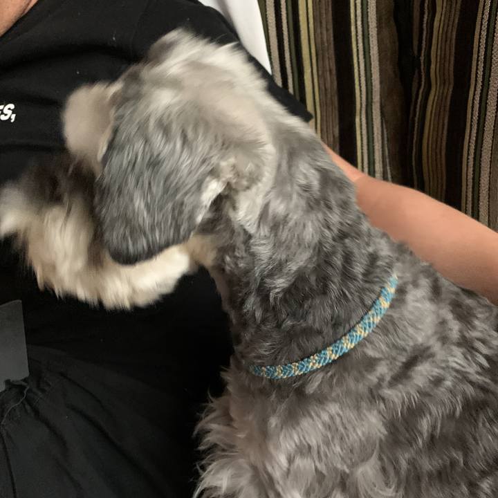 12150013 12a8 4e7b 9aa0 7615b717bede 1593215879040