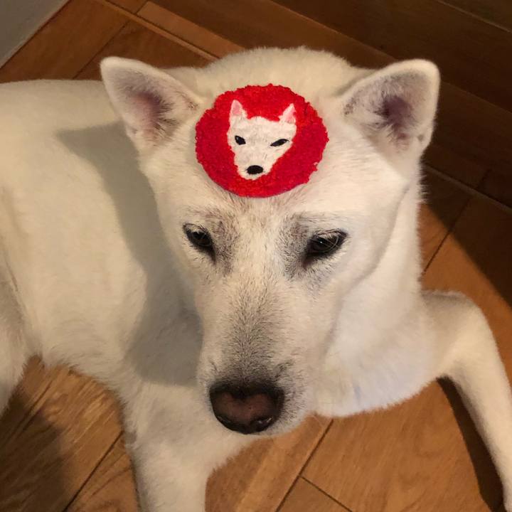 121523e0 5ce4 4e36 8cad e572863395ec 1592049530254