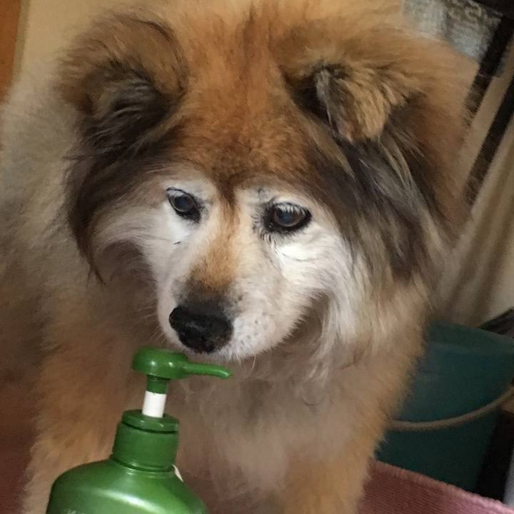 1215278b 6d93 40f2 ba2c 3b6dce1e0787 1602228982673