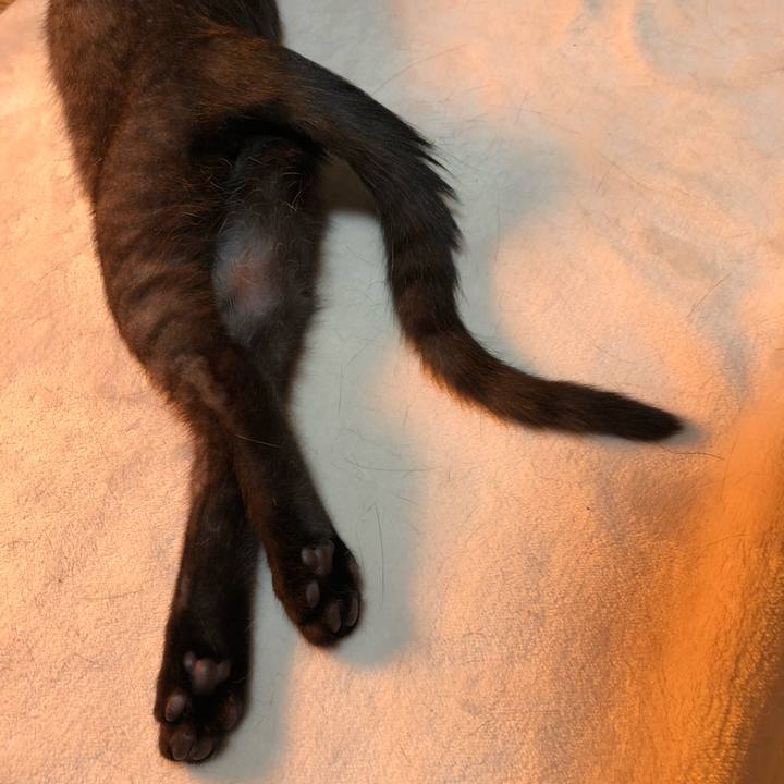 121566db 4107 4dee 9870 08d8ecfd4293 1609757761464