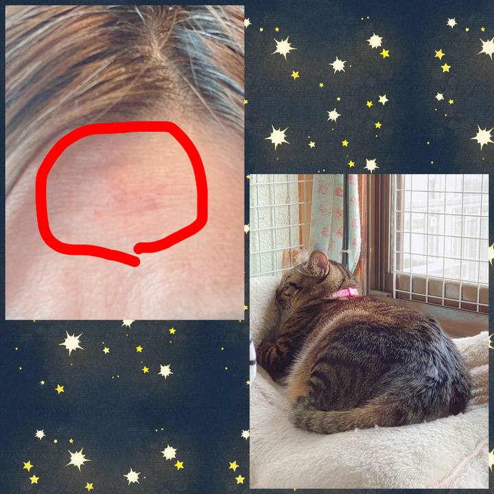 12156d82 af93 479e b553 c2353dedf97b 1609210489353