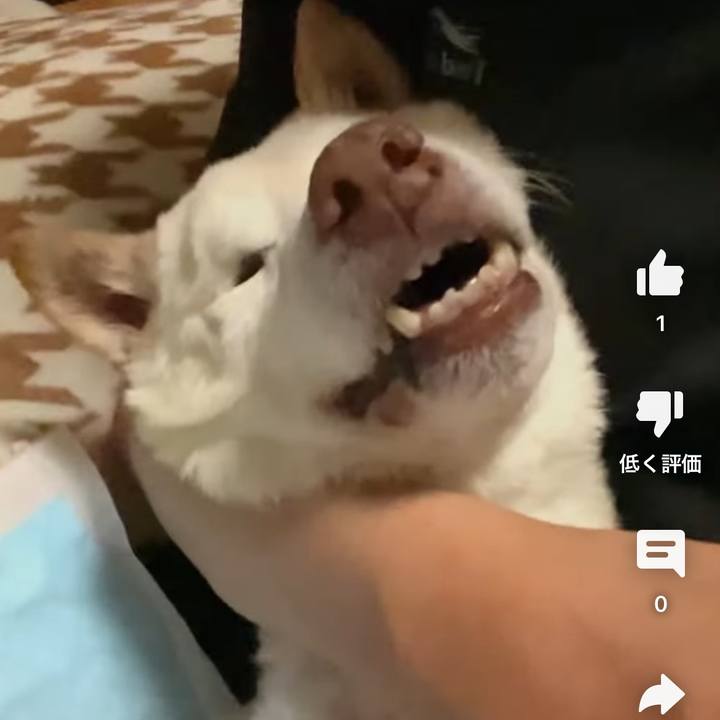 12157489 5d47 4d43 8860 d606988dbc21 1685304990930