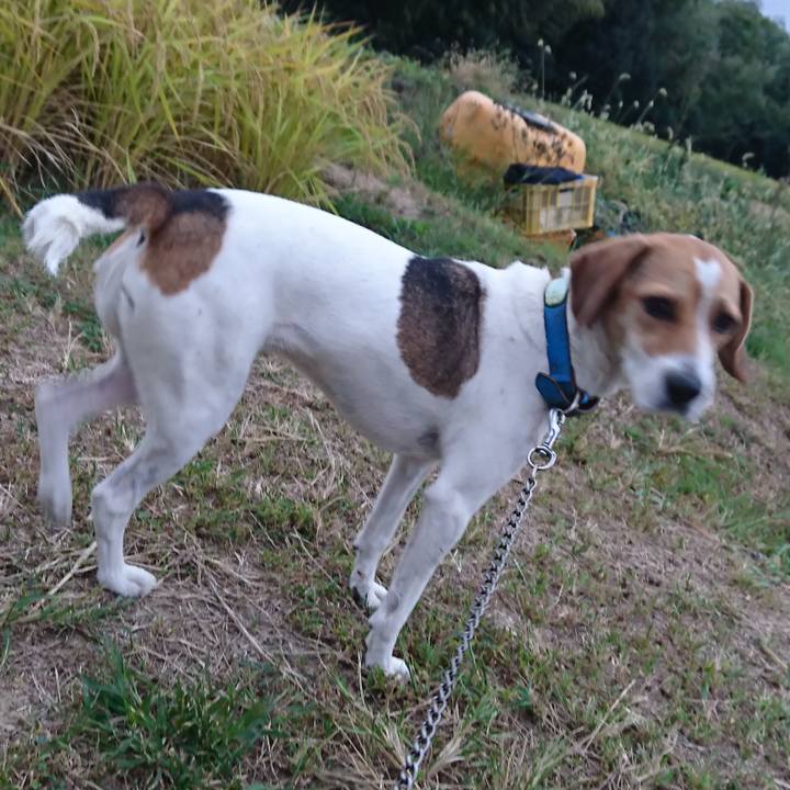 12157ae4 def9 4fd6 8bed 48dad302b059 1572701860571