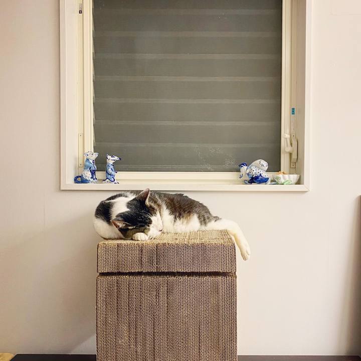 1215a972 8ff0 48bf a8ac c4214b020337 1596717066028