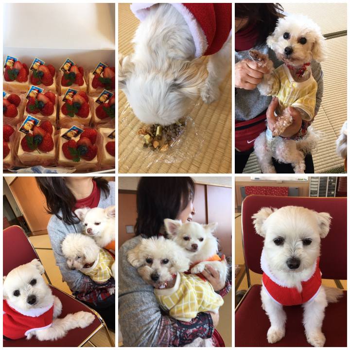 121620e1 7815 43a0 b60a cdbf846a9e3e 1545391472537