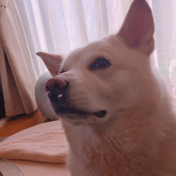 12168432 9e9f 4fd5 9af4 39d390832bcb 1545401126585