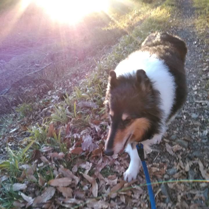 1216aab0 88c7 4a9c 9105 f951b189ff1a 1545134914118