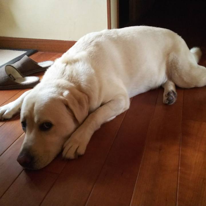 1217153c 2e0a 4b2a b7af a4fc4911ec77 1570852909249