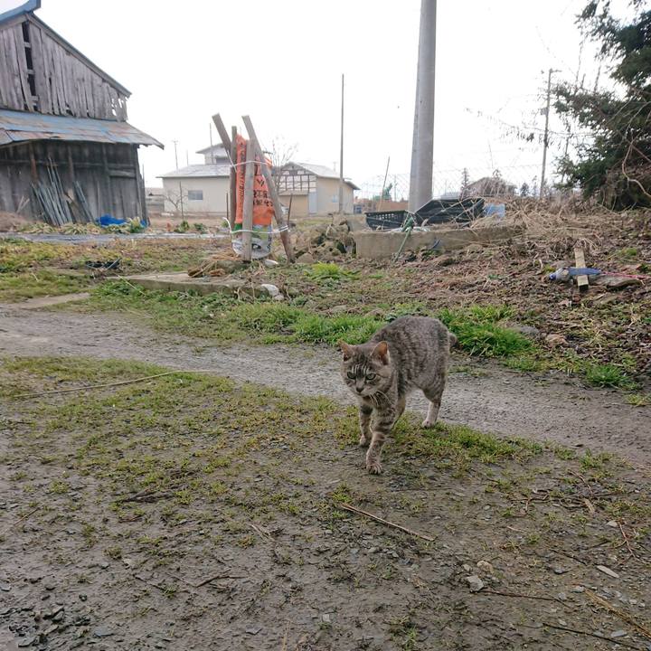 121719b4 6083 4372 983d c737d7412c48 1583022664060