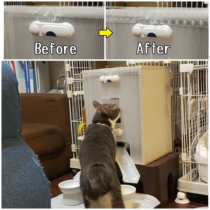 12173a5f e90b 419b 9467 de0e9b727945 1668514209261