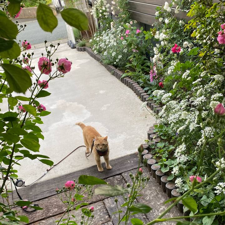 121762e9 b4cd 4de7 a209 175956f0476d 1622202516701