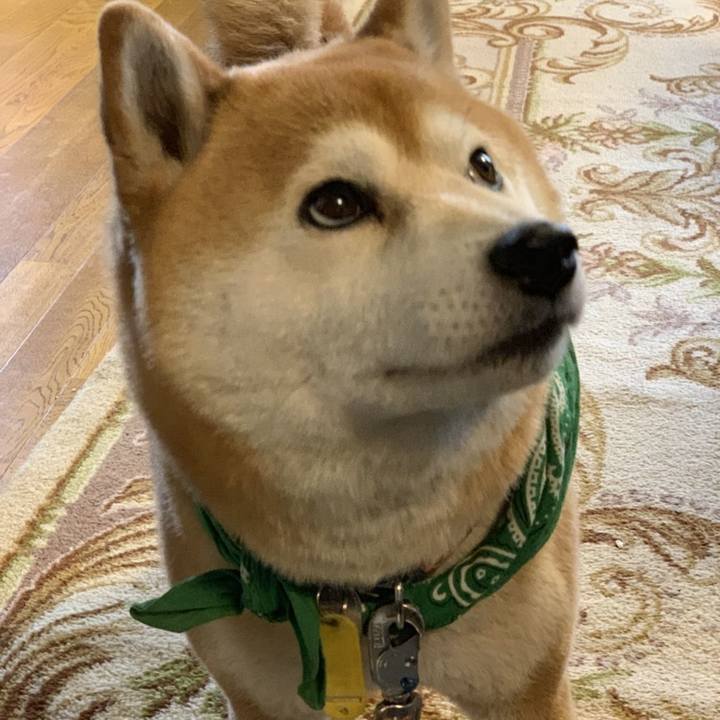 12178d2f 94da 4ea8 b5a2 a40692a968a2 1561596855070