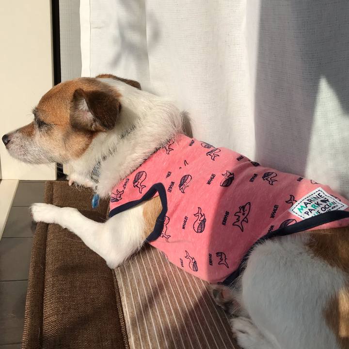 1217b431 f17f 4425 9d9b 3eced17472de 1567726215636