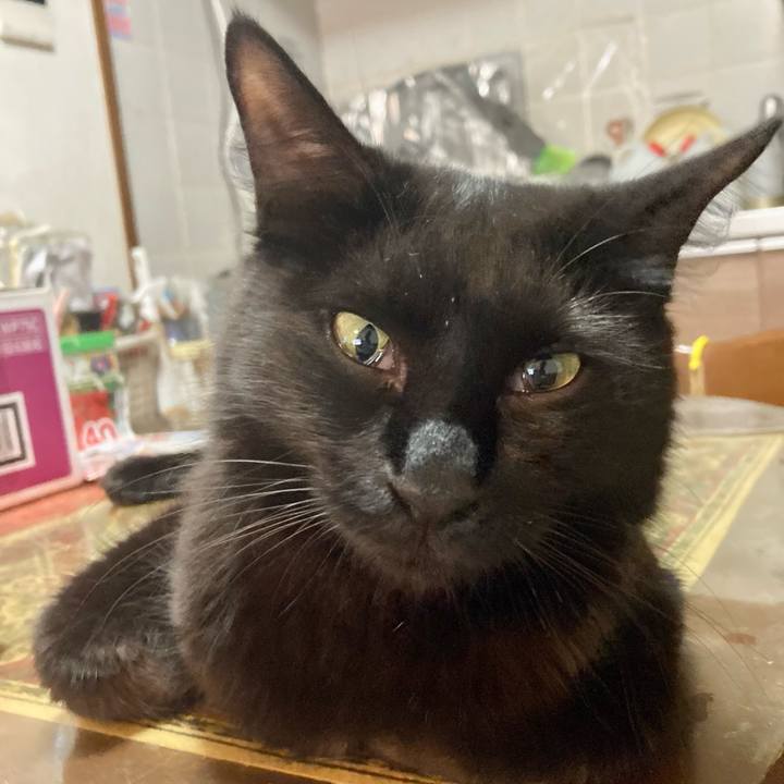 1217bd2e 3e28 484a ab07 22778c73cedd 1691195128496