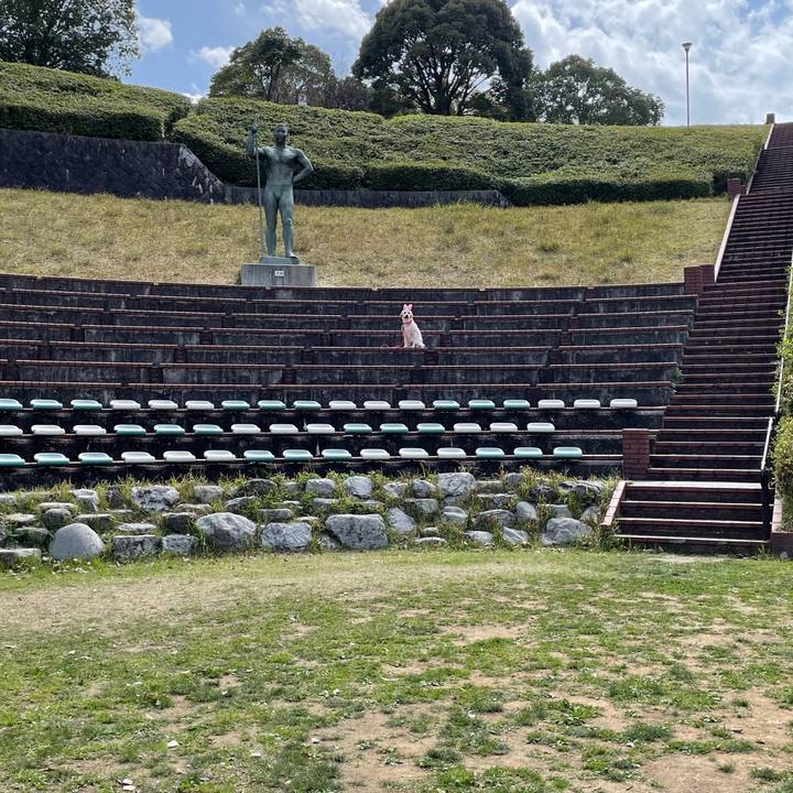 1217da1f 25ab 4aec ac48 c083bf66359b 1648552913409