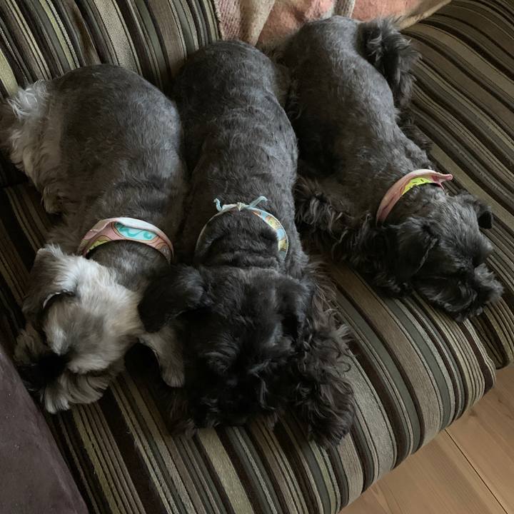 1217da8d fb73 421e 95f9 9bf24839d28b 1612850854715